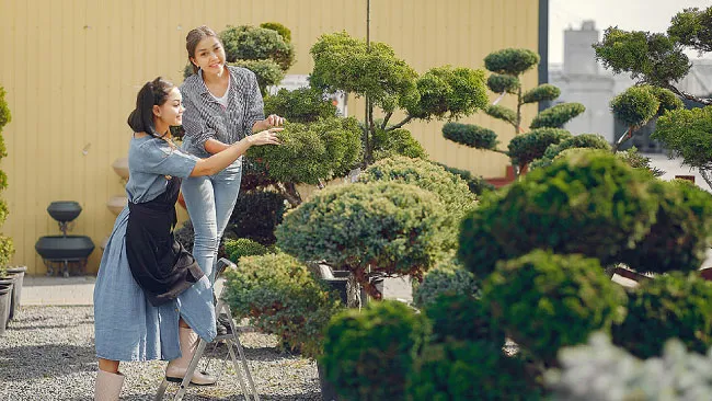 Lawn, Garden & Professional Landscaping